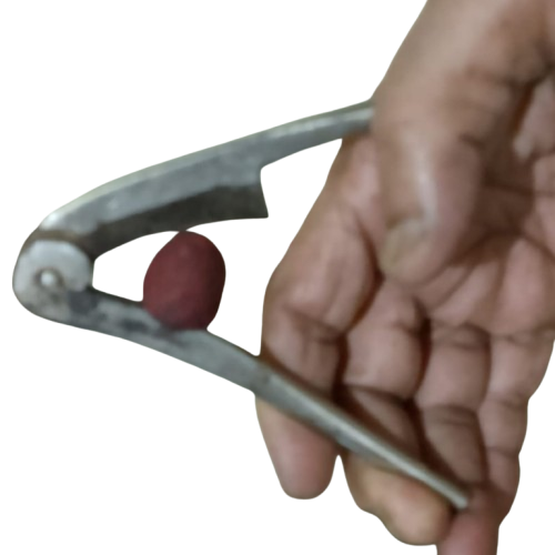 WhatsApp_Image_2026-07-30_at_8.34.27_AM-removebg-preview.png