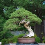 se-tsuchiya-Im_38YJBh4-unsplash.jpg